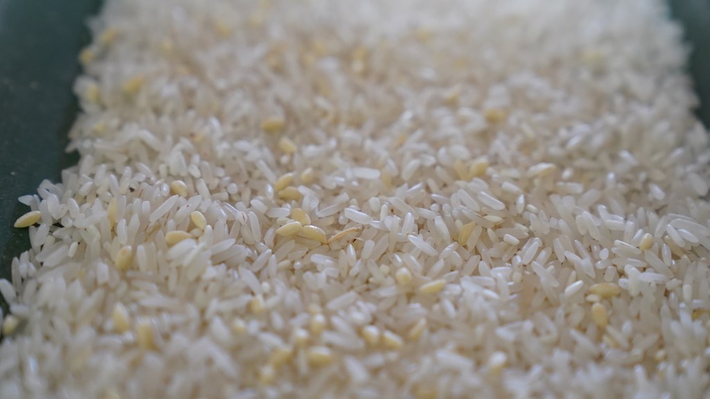 Arroz blanco fortificado producido en Camboya.